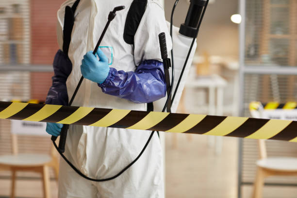 Professional Hoarding Cleanup technician working in Meridian, TX